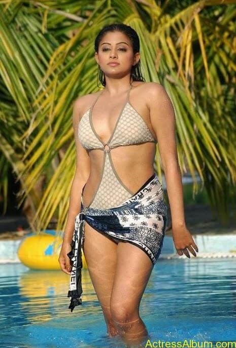 Priyamani Hot Photo Stills Actress Album Hot Sex Picture