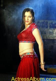 actress-navneet-kaur-sizzling-photo-gallery-hot-3