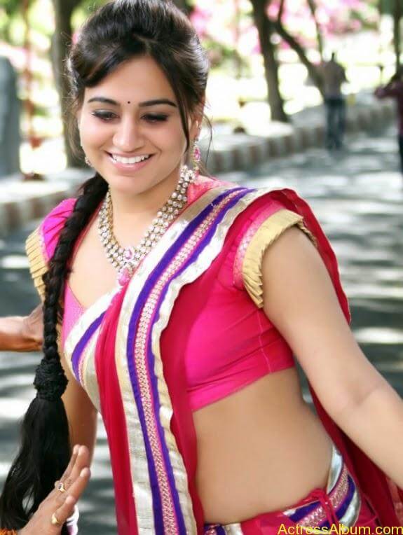 Aksha Pardasany Side View Pics In Pink Saree Photos South Actress
