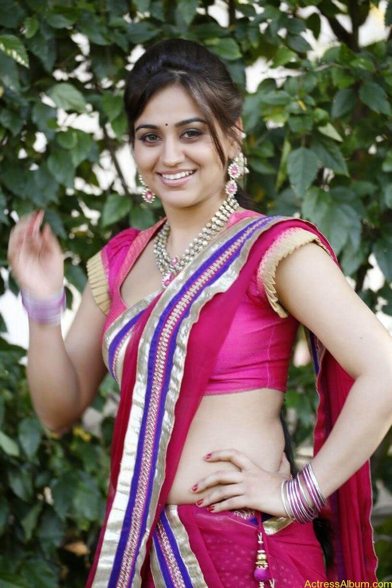 Aksha Pardasany Side View Pics In Pink Saree Photos South Actress4