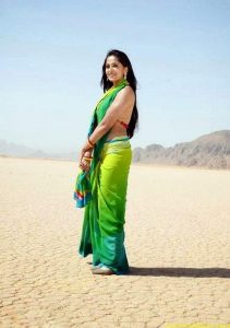 Anushka Shetty In Hot Green Transparent Saree Pics