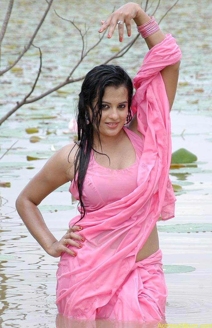 Kannada Actress Roopa Hot Navel Photos in Saree 3