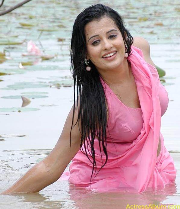 Kannada Actress Roopa Hot Navel Photos in Saree 8