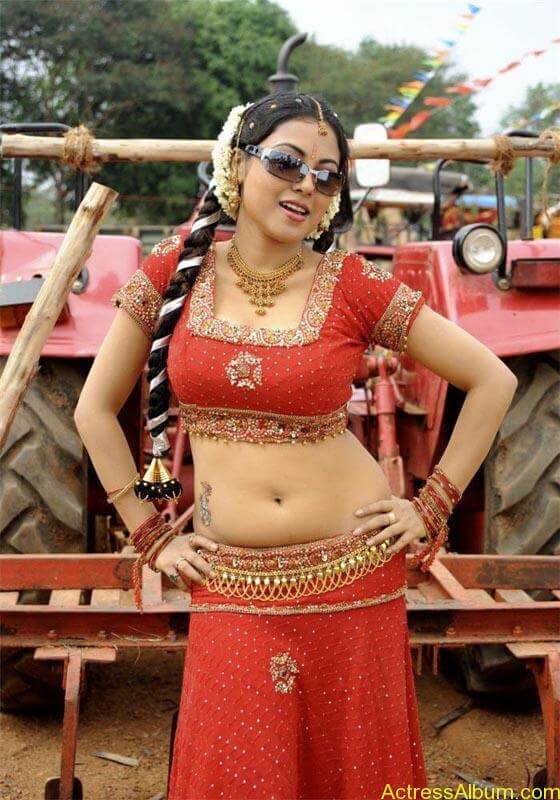 Meenakshi hot tamil masala actress exposing her hot deep navel2