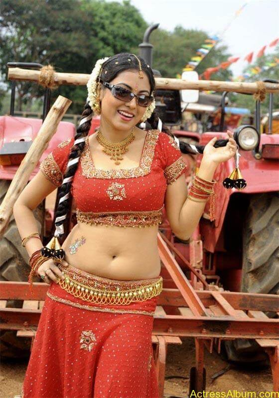 Meenakshi hot tamil masala actress exposing her hot deep navel3