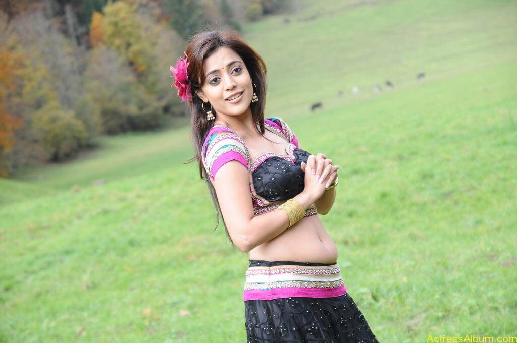 Nisha Agarwal spicy hot navel show photos2