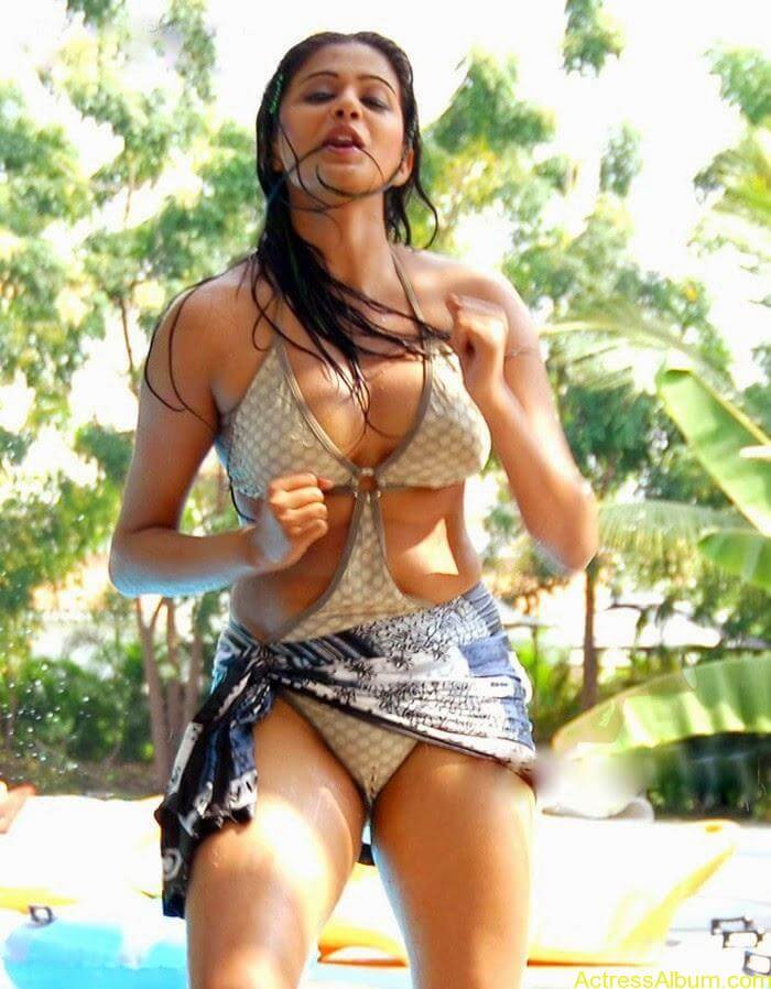 Priyamani HD Bikini Photos Collection - Actress Album