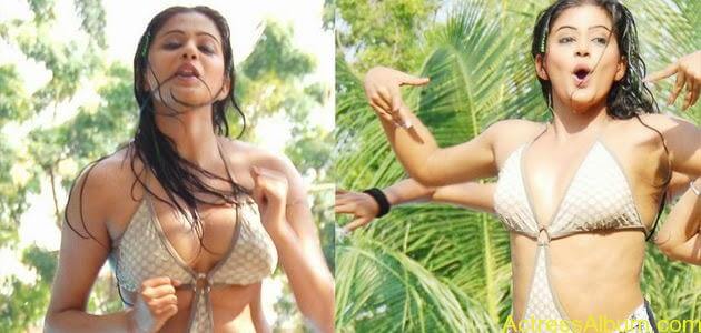 Telugu Heroine Priyamani Bikini Photos