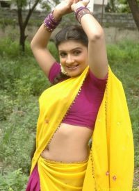 Hot Tamil Actress Roopa Navel Exposing Stills Actress Album