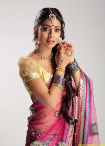 Shriya Saran In Saree Hot Photos - Actress Album