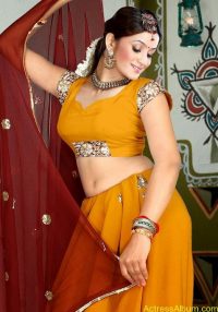 actress archana harish hot saree navel images