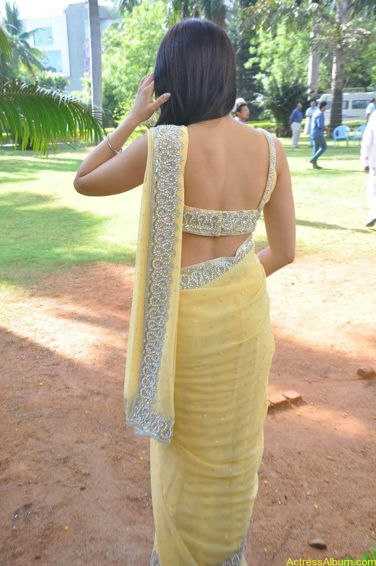 Pranitha Latest Photo Gallery (43)