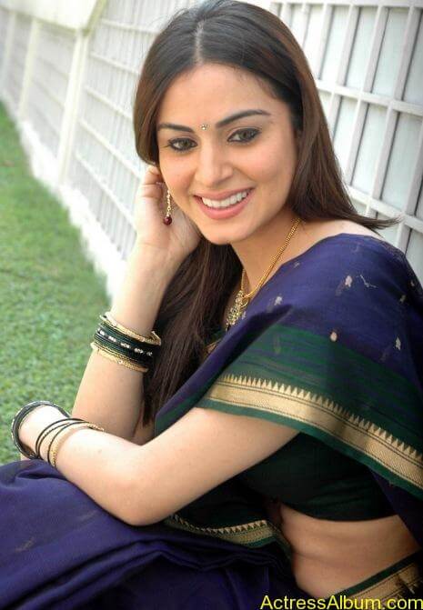 Shraddha Arya In Saree Stills (8)