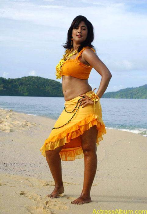 Tamil Cinema Heroine Bikini Pics