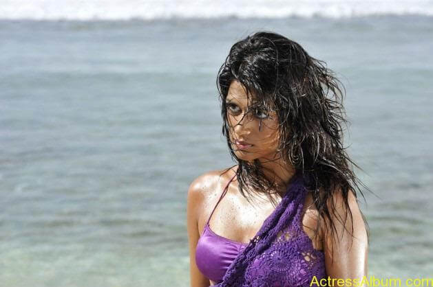 South indian swimsuit pics 7[2]