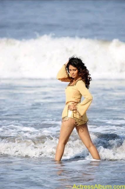 World's Most Sexy South Indian Actresses Hot Photos (12)