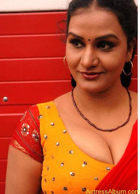 World's Most Sexy South Indian Actresses Hot Photos (9)