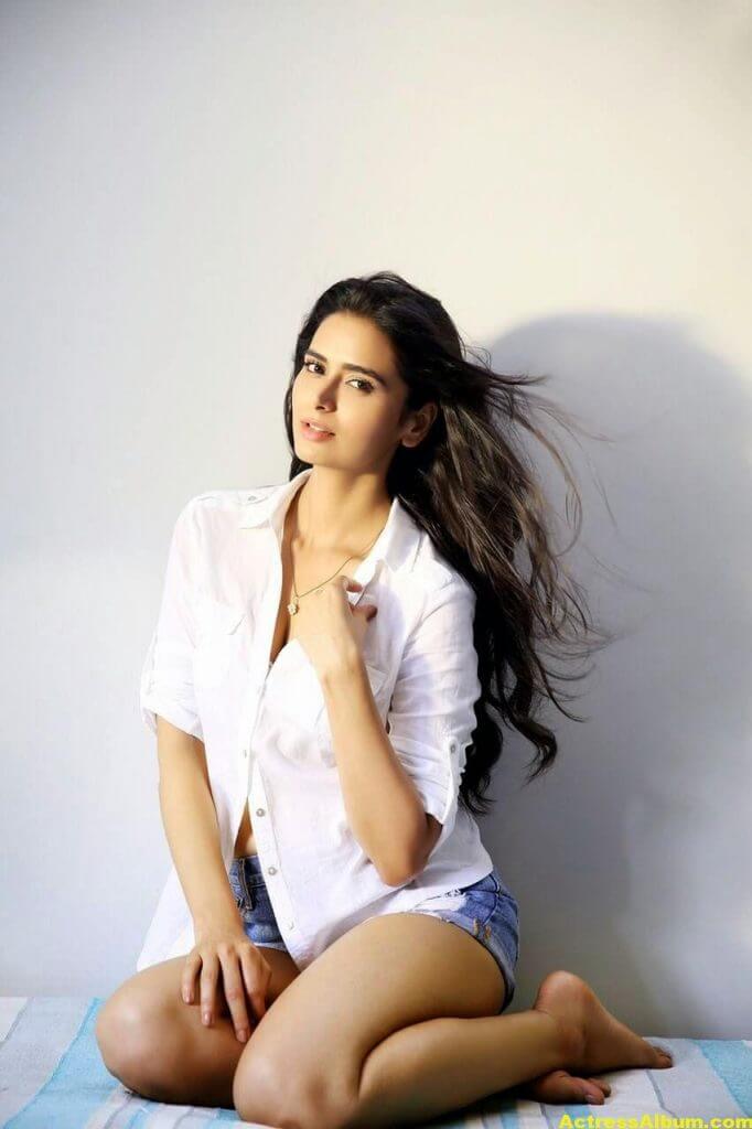 Actress Meenakshi Dixit Latest Glam Photoshoot Stills HQ 8