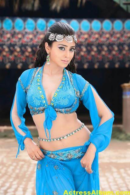Tamil Actress Shriya Saran Beautiful Photo Gallery 1