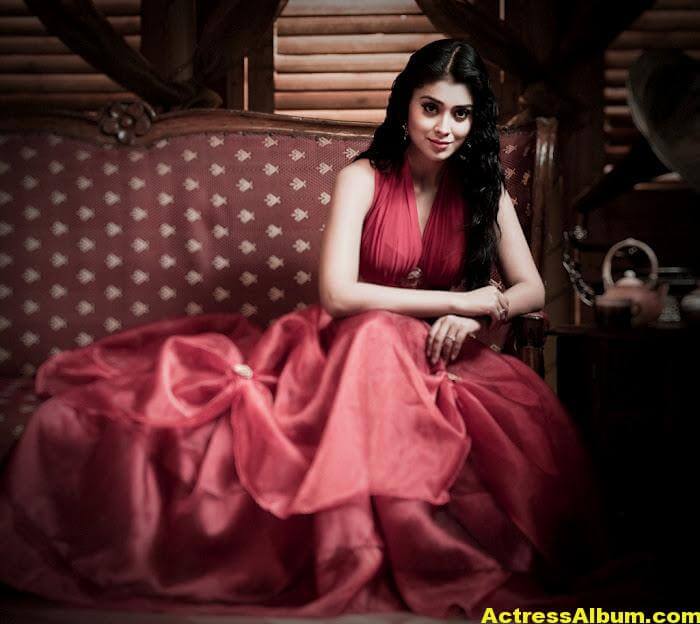 Tamil Actress Shriya Saran Beautiful Photo Gallery 2