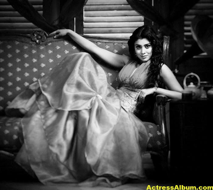 Tamil Actress Shriya Saran Beautiful Photo Gallery 7