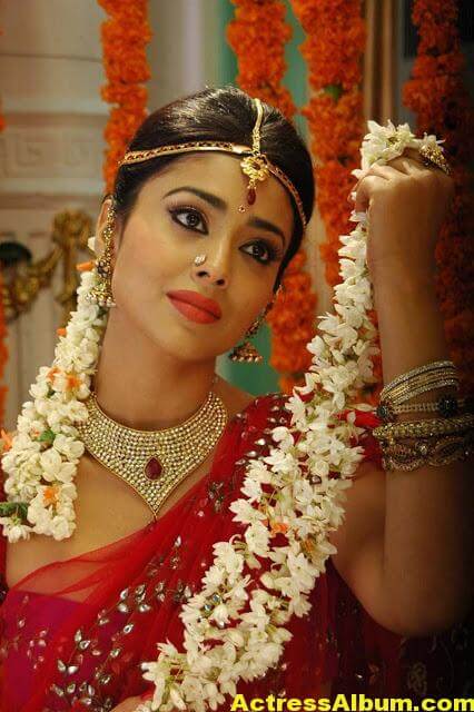 Tamil Actress Shriya Saran Beautiful Photo Gallery 9