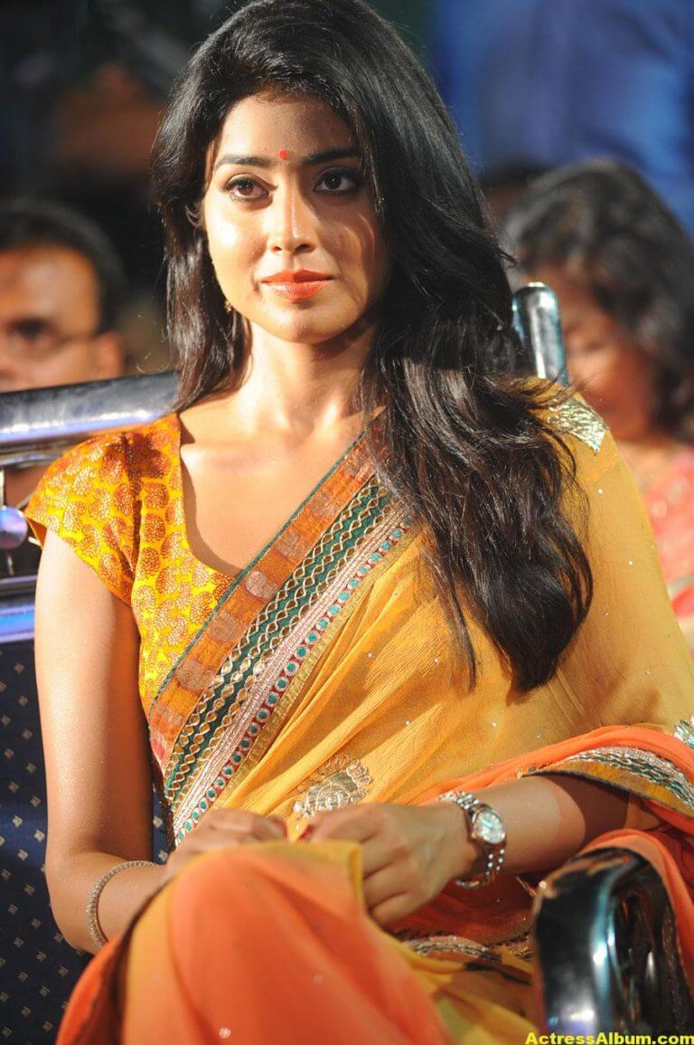 Actress Shriya Saran Latest Saree Photos - Actress Album