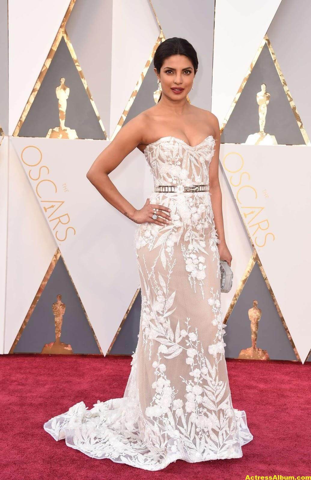 Priyanka Chopra Photos At Oscars Awards In White Gown 7 Actress Album