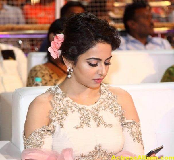 Rakul Preet Stills In Sarainodu Movie 5