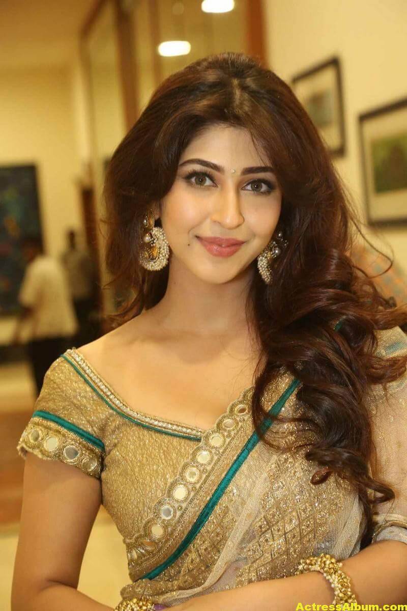 Sonarika Bhadoria Stills In Hot Yellow Saree - Actress Album