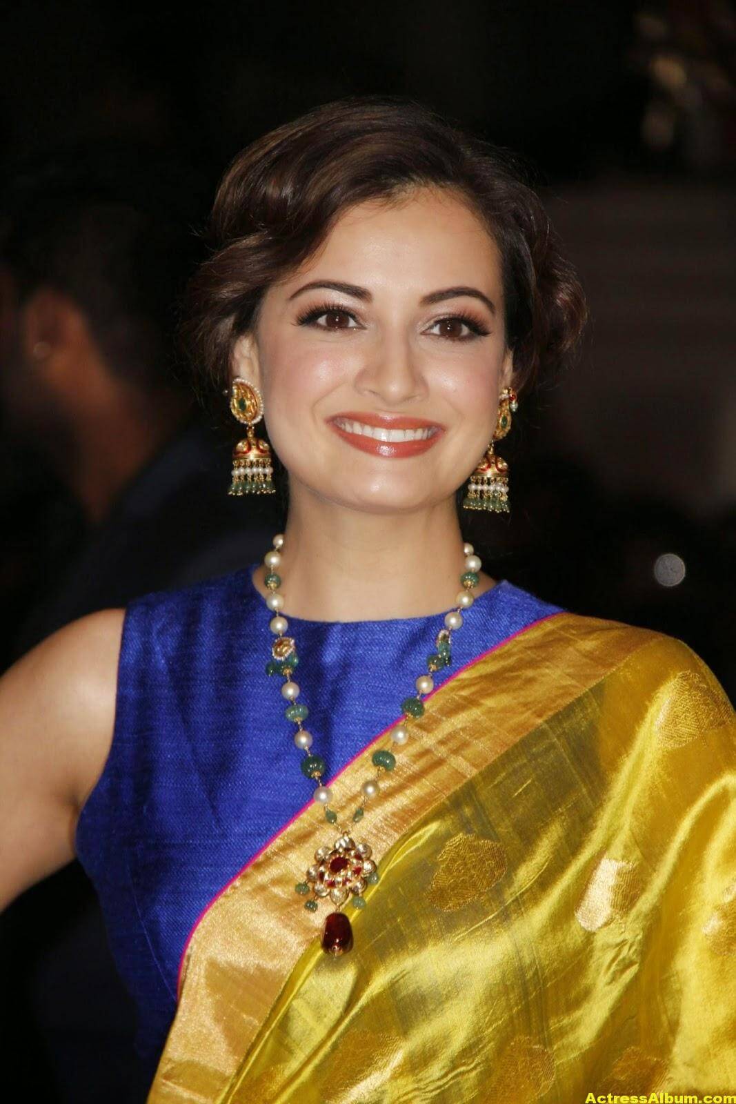 Hot Photos Dia Mirza In Yellow Designer Saree 3 Actress Album