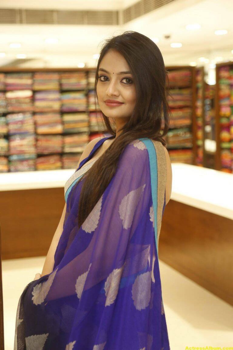 Nikitha Narayan Spicy Photos In Blue Saree Actress Album