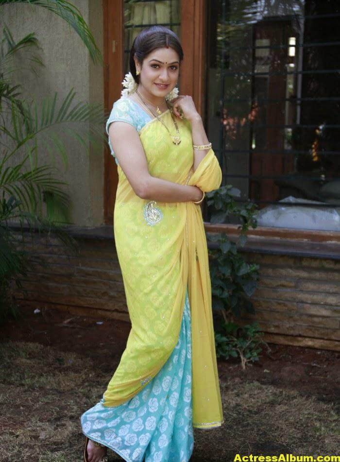 Actress Aditi Agarwal Hot Photos In Yellow Saree