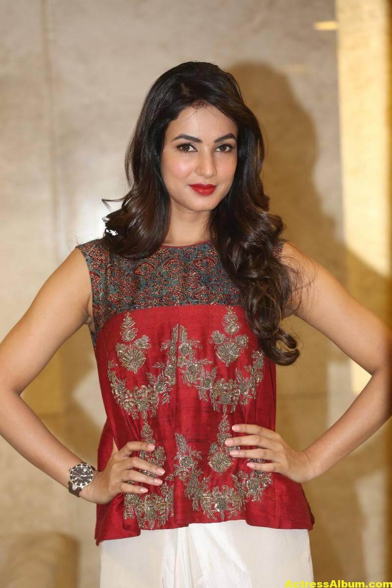Sonal Chauhan Latest Stills In Beautiful Red Dress 2