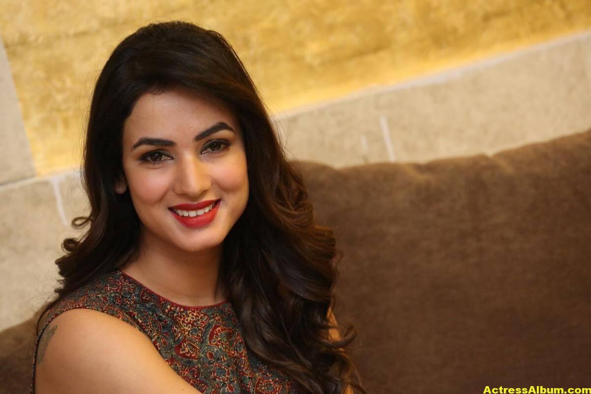 Sonal Chauhan Latest Stills In Beautiful Red Dress 5