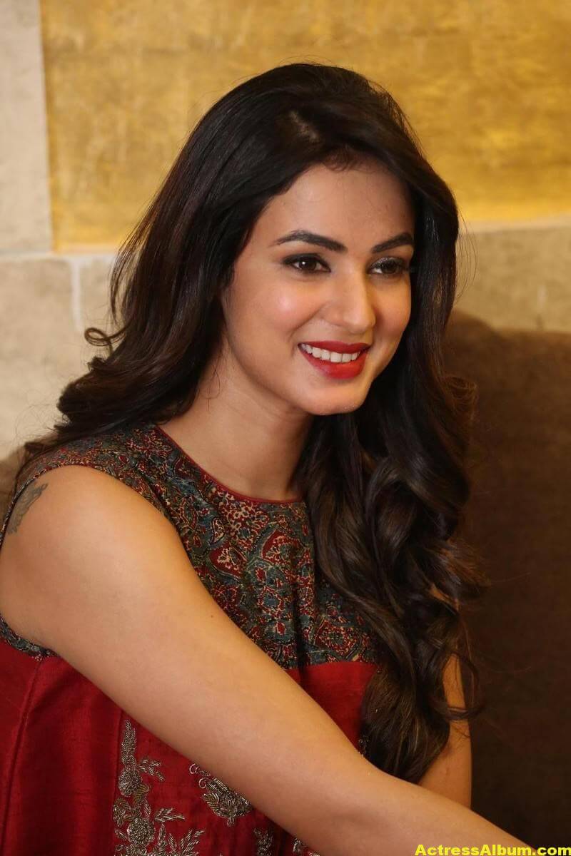 Sonal Chauhan Latest Stills In Beautiful Red Dress 6