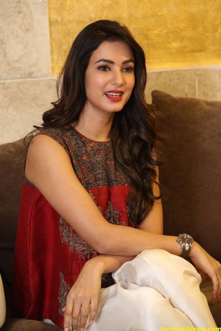 Sonal Chauhan Latest Stills In Beautiful Red Dress - Actress Album