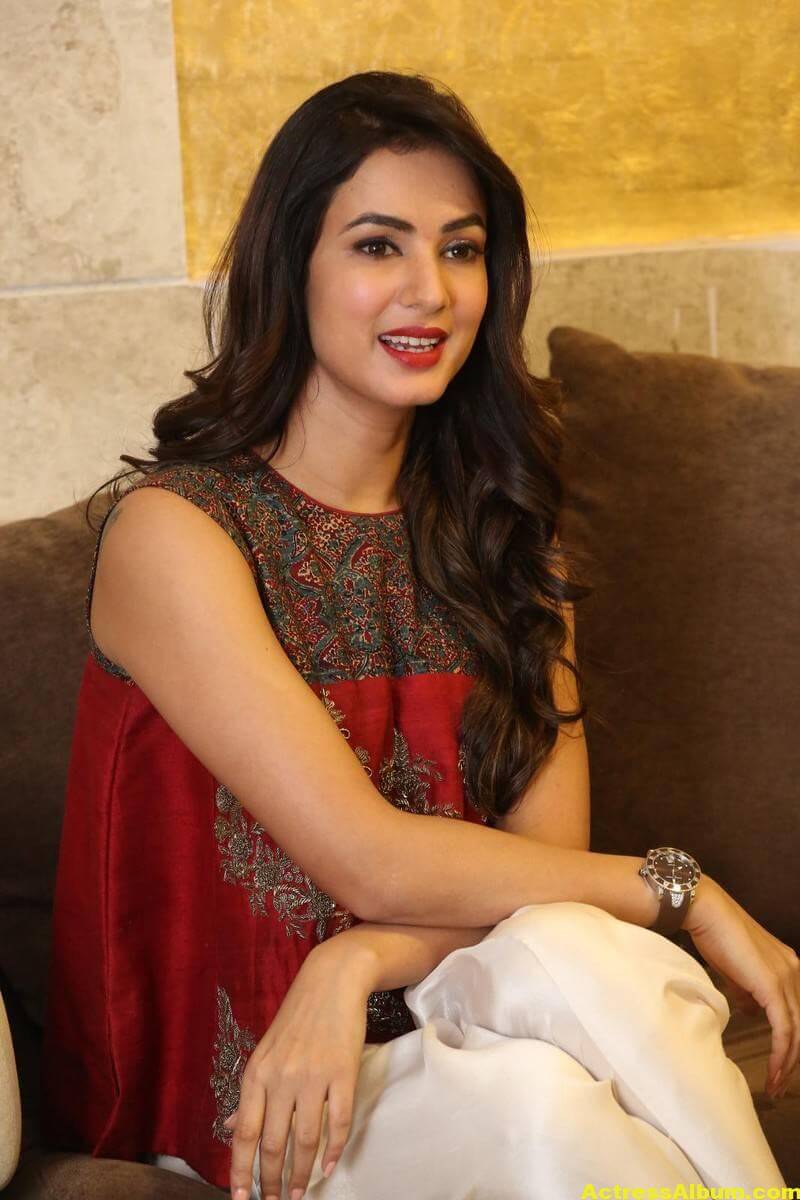 Sonal Chauhan Latest Stills In Beautiful Red Dress 7