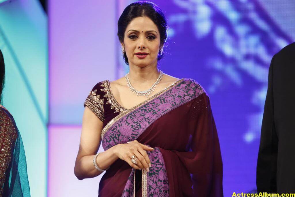 Sri Devi Latest Cute Stills In Colorful Maroon Saree 3