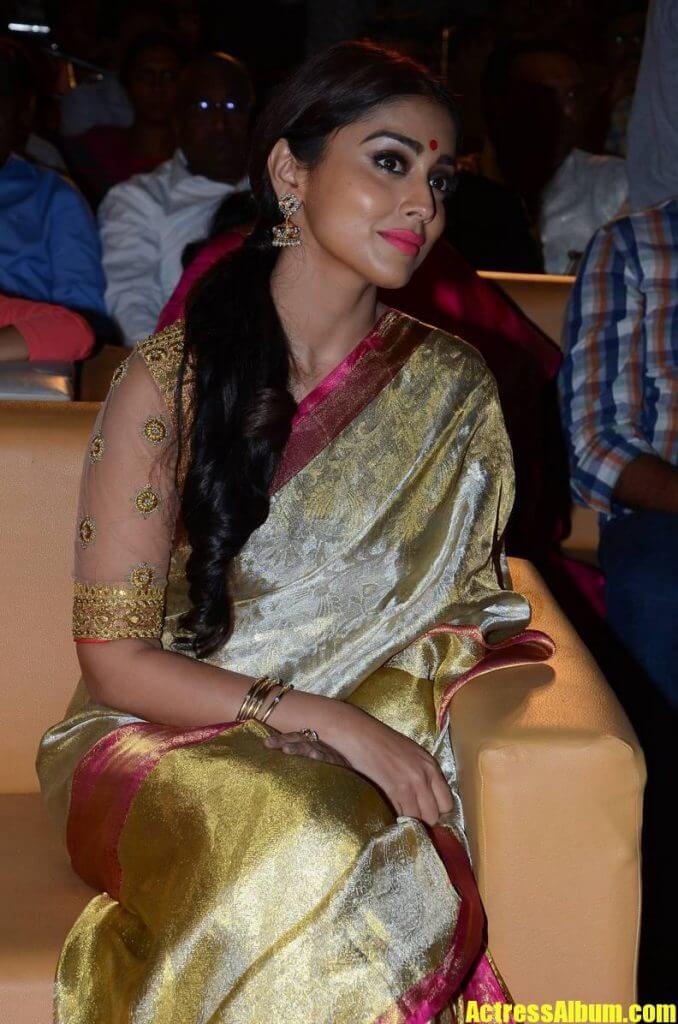 Telugu Actress Shriya Saran Stills In Designer Yellow Saree - Actress Album