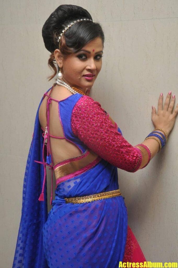 SHILPA CHAKRAVARTHY IN BACKLESS SAREE BLOUSE - Actress Album