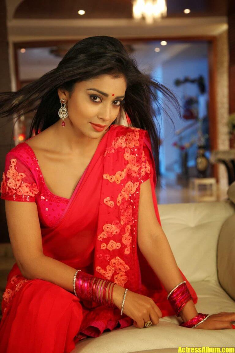 Shreya Saran Latest Hot Photos Actress Album