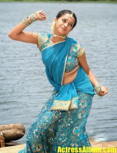 Bhavana Hot In Blue Saree Stills - Actress Album