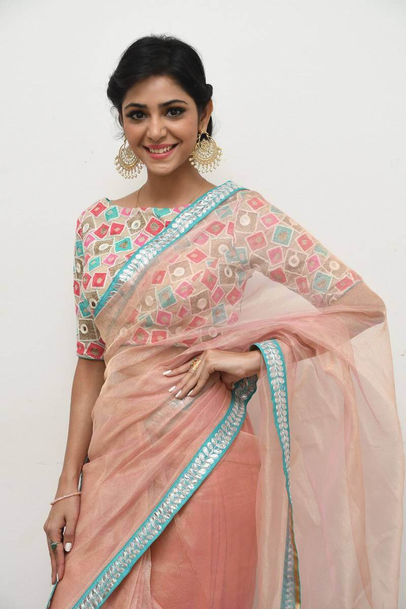 South Indian Actress Priyanka Photos In Maroon Saree