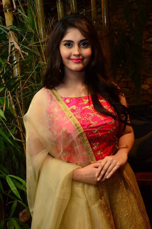 Actress Surabhi HD Photos In Churidar