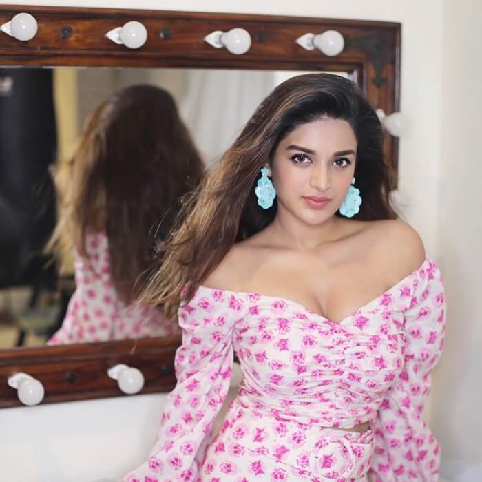 Hot Poses Of Actress Nidhhi Agerwal