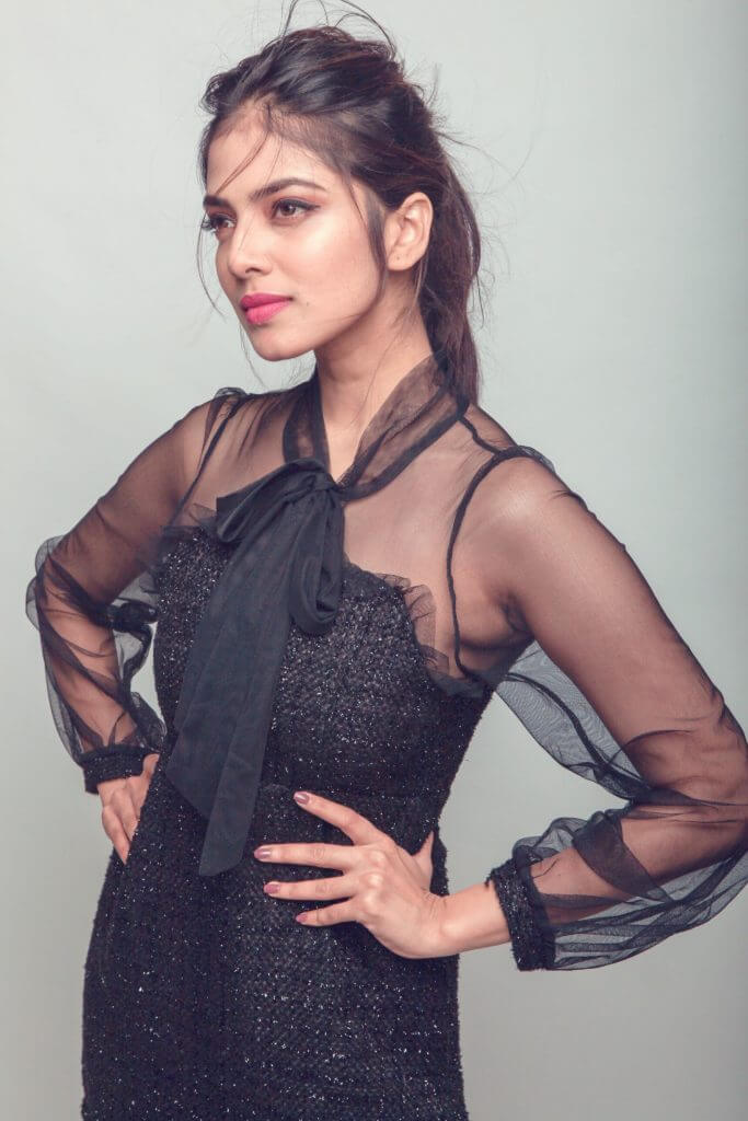 Nirnnayakam Movie Actress
