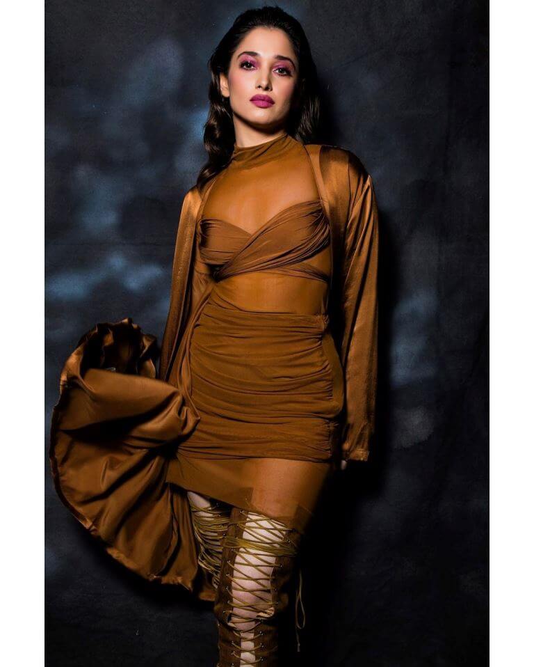 Tamanna Bhatia In Chocolate Dress